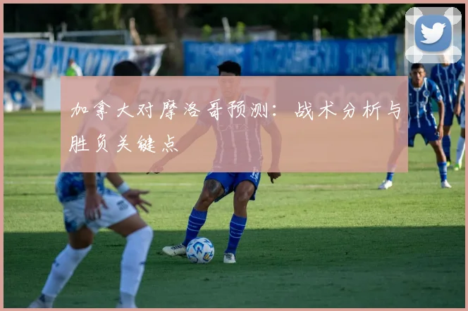 加拿大对摩洛哥预测：战术分析与胜负关键点