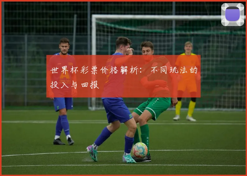 世界杯彩票价格解析:不同玩法的投入与回报