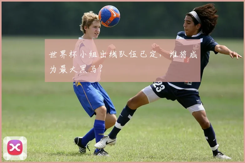 世界杯小组出线队伍已定，谁将成为最大黑马？