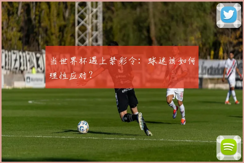 当世界杯遇上禁彩令：球迷该如何理性应对？