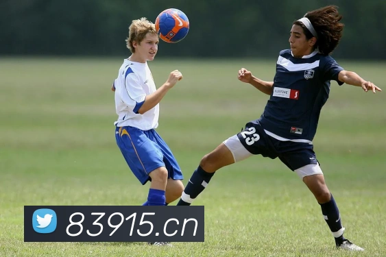 App Interface Preview